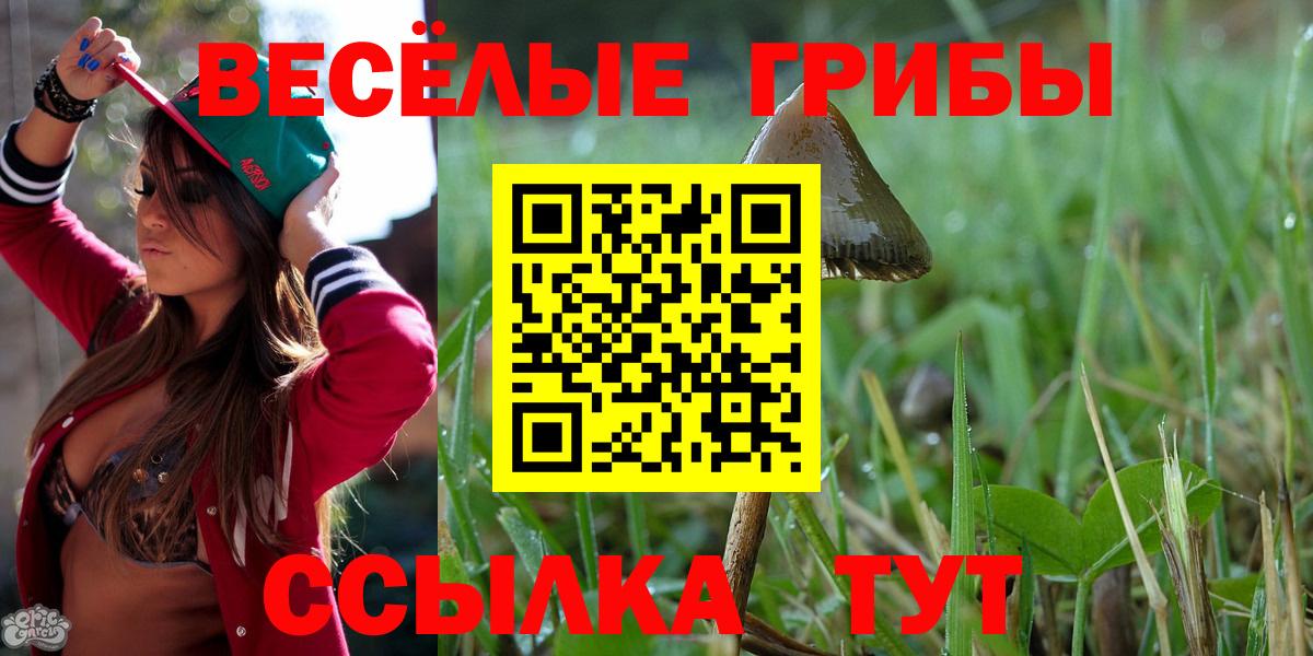 Галлюциногенные грибы мицелий Ржев