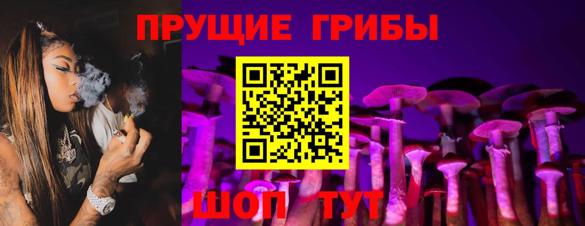 Псилоцибиновые грибы Cubensis  Вход с VPN  Ржев 